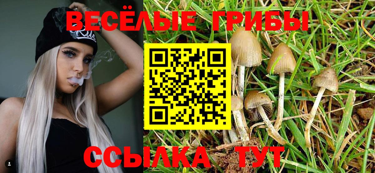Псилоцибиновые грибы ЛСД Вичуга