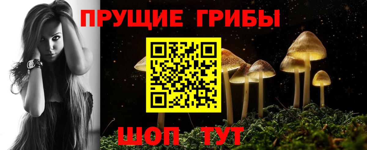 магазин    Вход с VPN  Вичуга  Псилоцибиновые грибы Magic Shrooms 